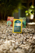 Haiti Coffee's Sanctuary Haitian coffee back of packaging on rocky surface
