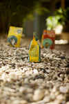 Haiti Coffee's Sanctuary Haitian coffee side of packaging on rocky surface 