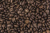 haitian coffee beans 