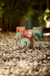 haiti coffees kafe dondon new packaging on rocks