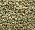 green haitian coffee beans